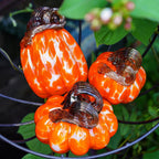 Pure handmade glass pumpkin ornament pastoral color pumpkin ornament