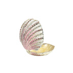 Pink shell-shaped jewelry box with its lid open